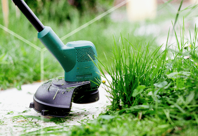 Weed whacker trimming grass.