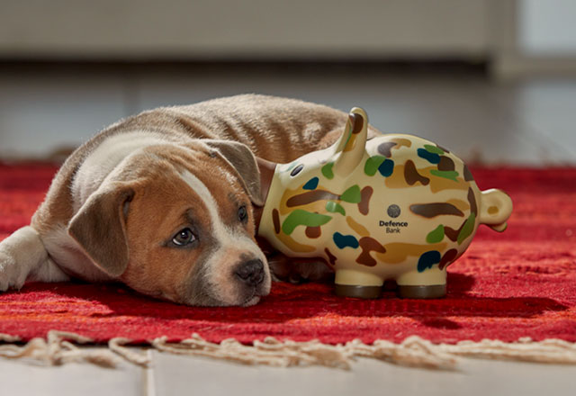 A puppy curled up next to a Defence Bank Army camo piggy bank