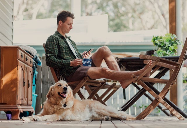 Lorikeet amongst green leaves.