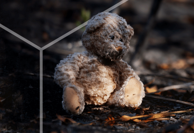 Teddy bear after a fire