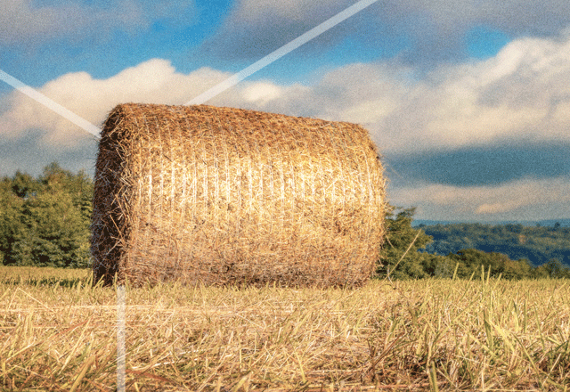 Haybale in a field.